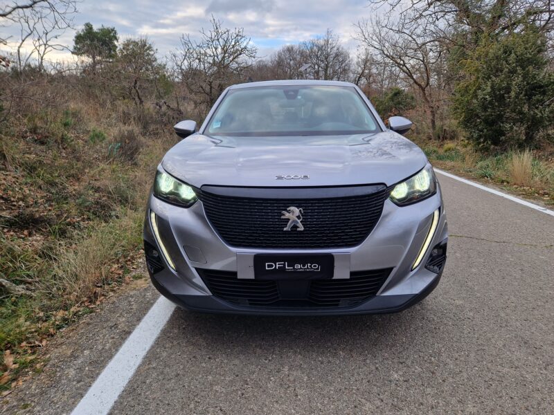 Peugeot 2008  1.5 bluehdi Business